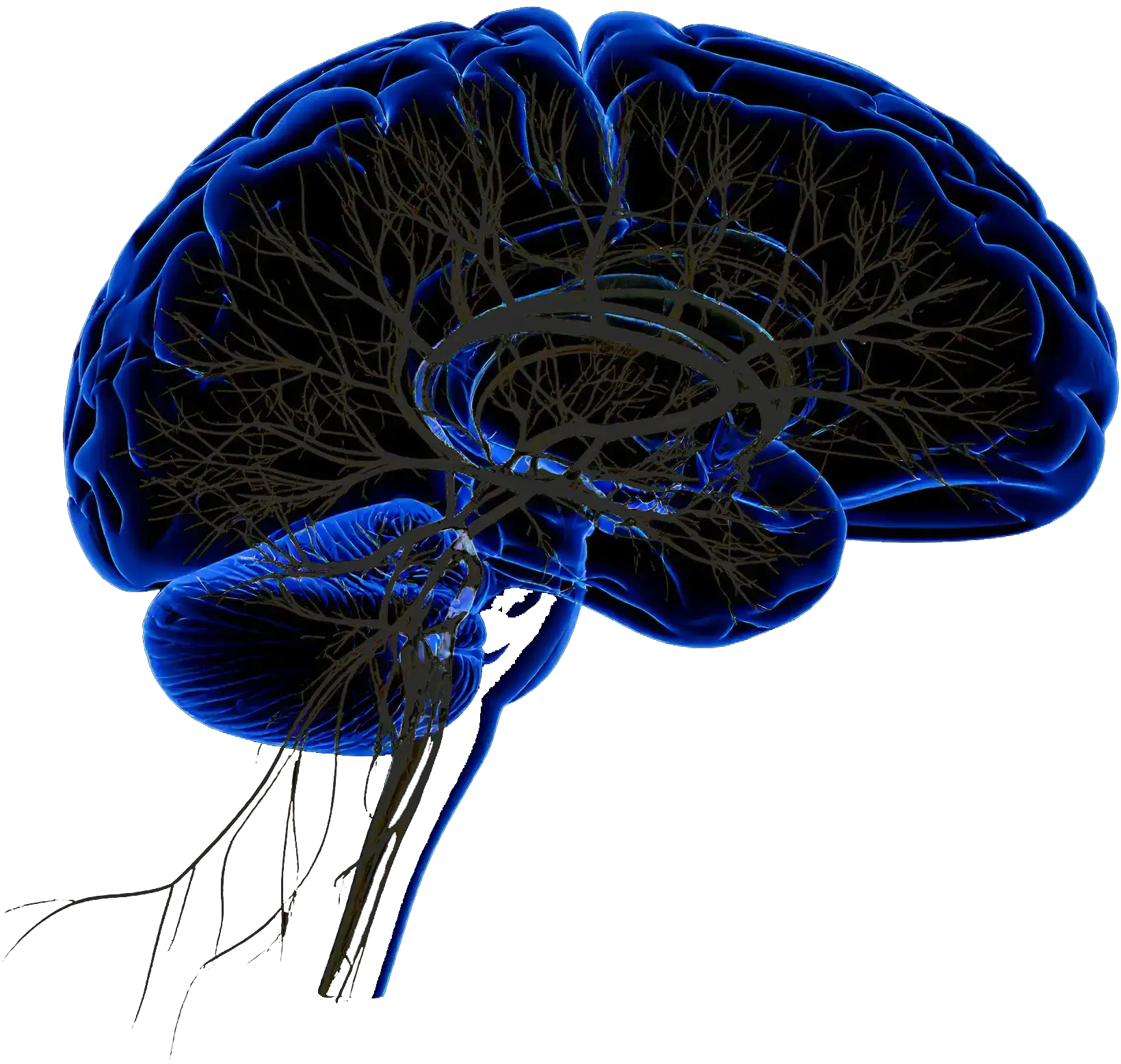 Votre cerveau retient plus en pratiquant